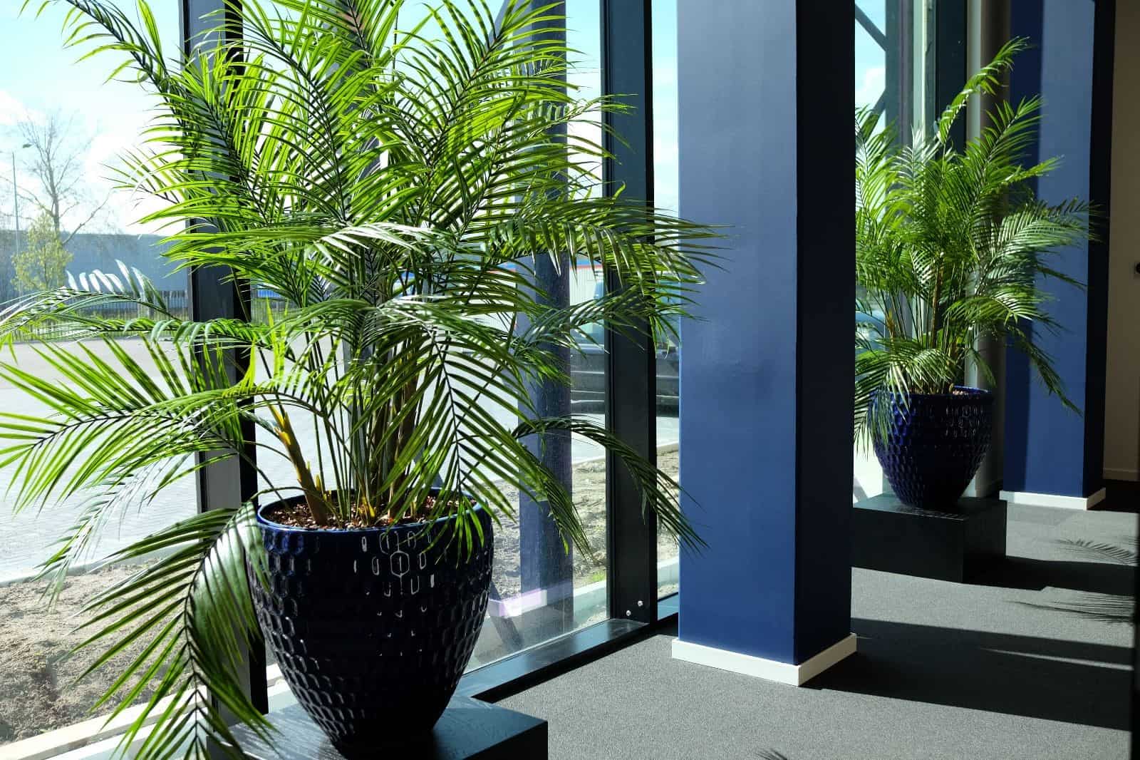 Kunstplanten