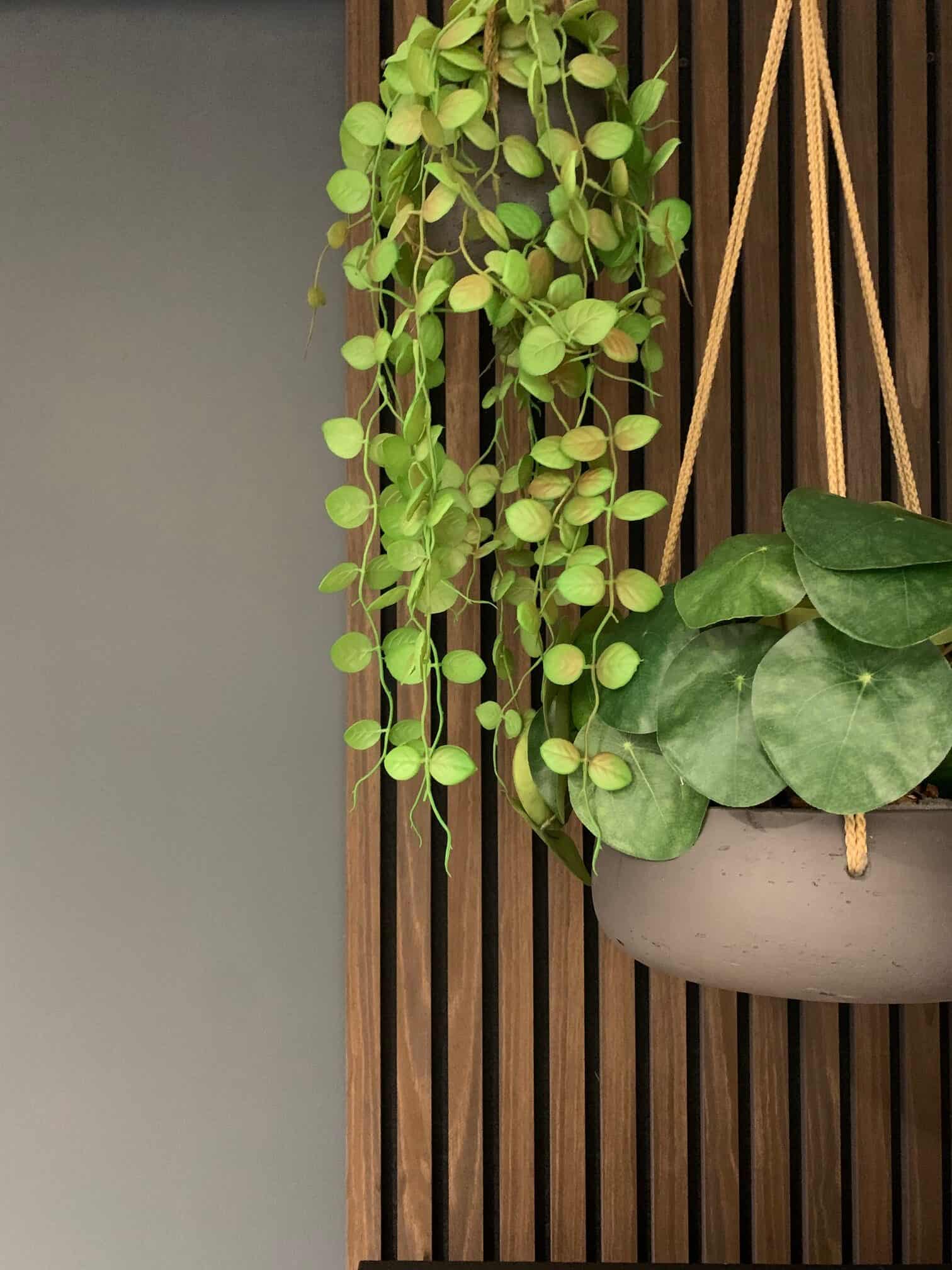 High-end planten in het interieur – luxe groen voor balans