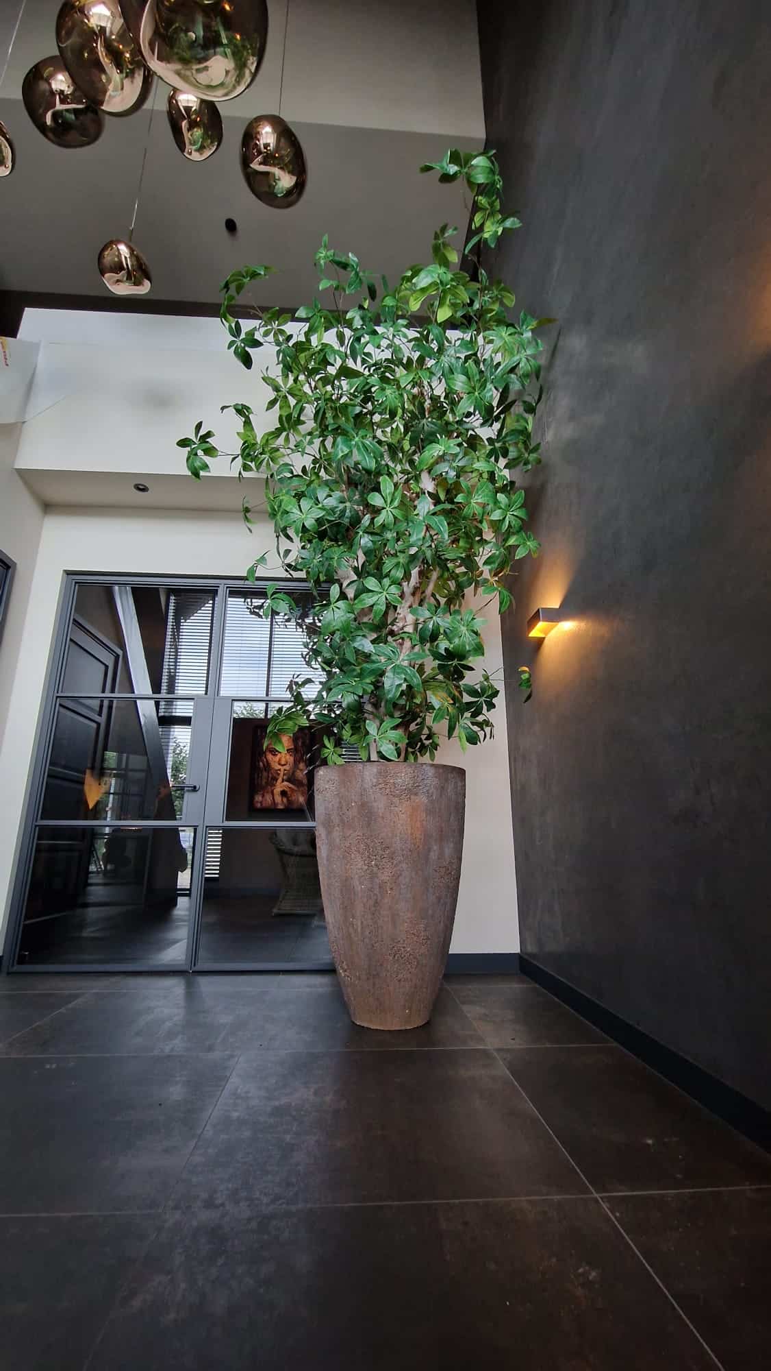 Kunstbomen van Exclusief Ingericht